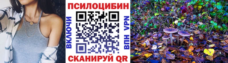 Галлюциногенные грибы Psilocybe  Купить где  Теберда 